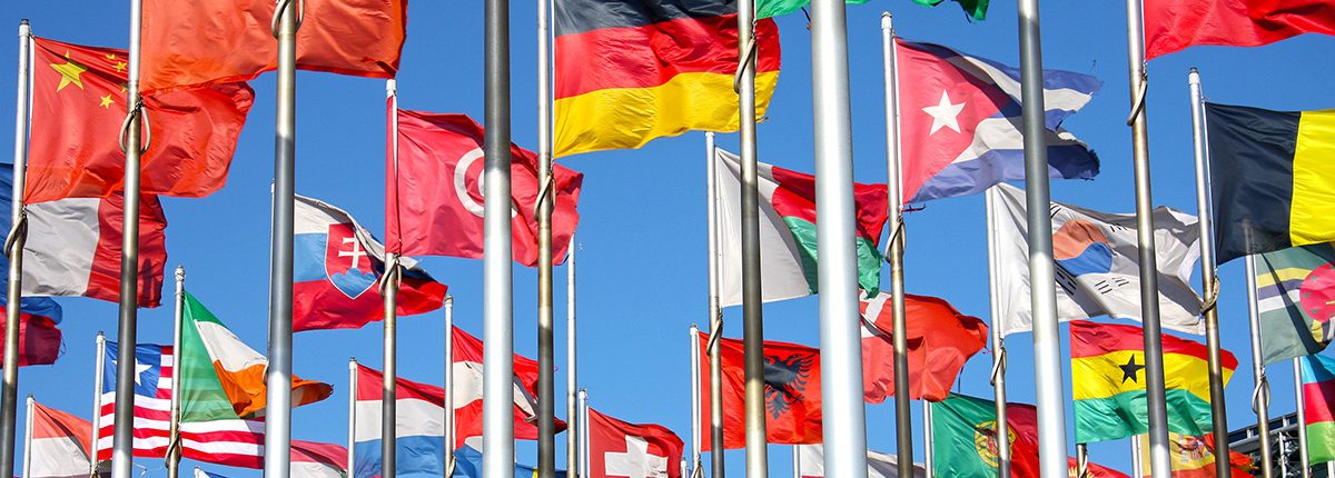 Наши партнеры